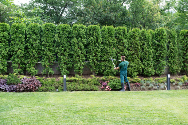 Best Lawn Irrigation Installation and Maintenance  in Halfway House, PA